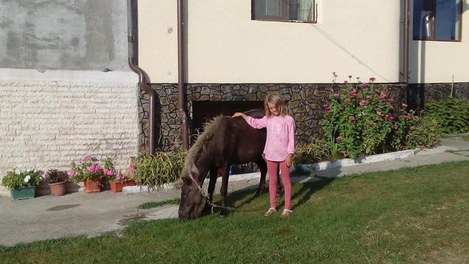 Pensiunea Adeluta Călimăneşti Extérieur photo